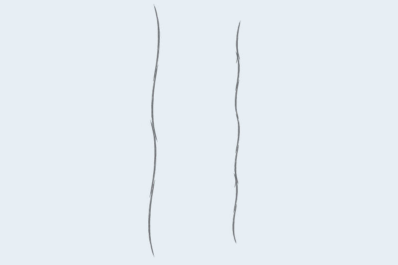 Extra-Long Staple Fiber vs Short Staple