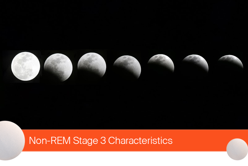 Non-REM Stage 3 Characteristics