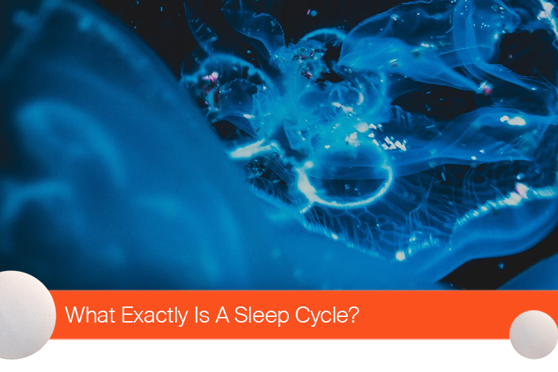 What Exactly Is A Sleep Cycle?