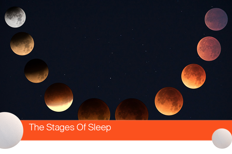 The Stages Of Sleep