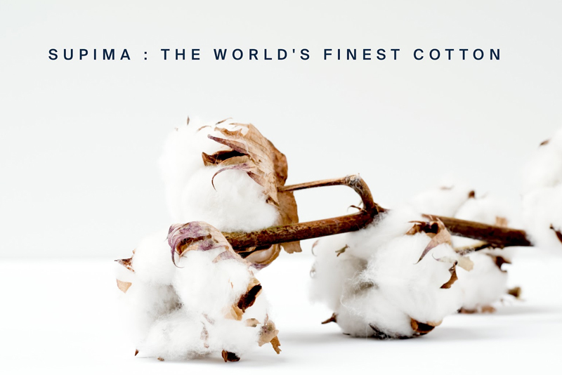 Supima Cotton Origins