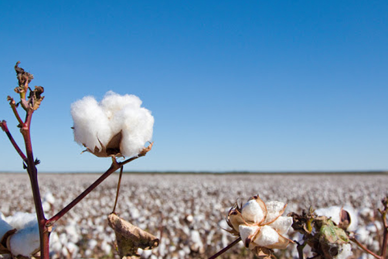 How To Wash A Cotton Comforter